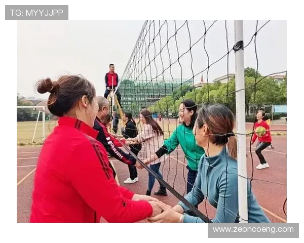 南京排球队配合变革引发热议新战术助力团队协作提升