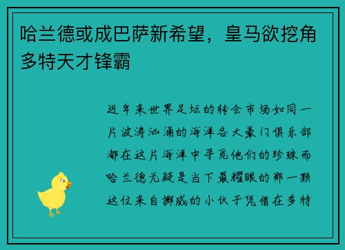 哈兰德或成巴萨新希望，皇马欲挖角多特天才锋霸