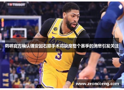 鹈鹕官方确认锡安因右膝手术将缺席整个赛季的消息引发关注